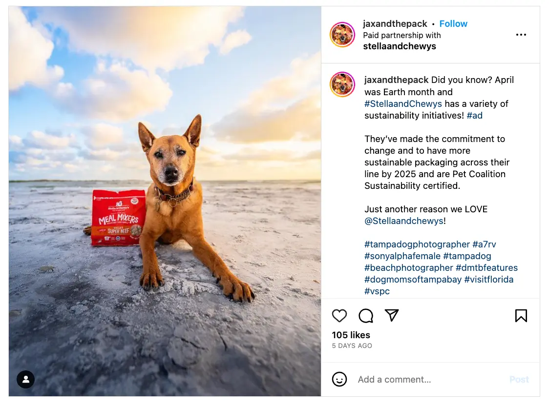 Dog on beach
